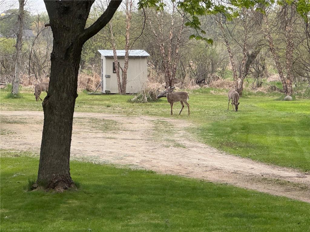 870 County Road F E Vadnais Heights MN 55127 7075735 image51