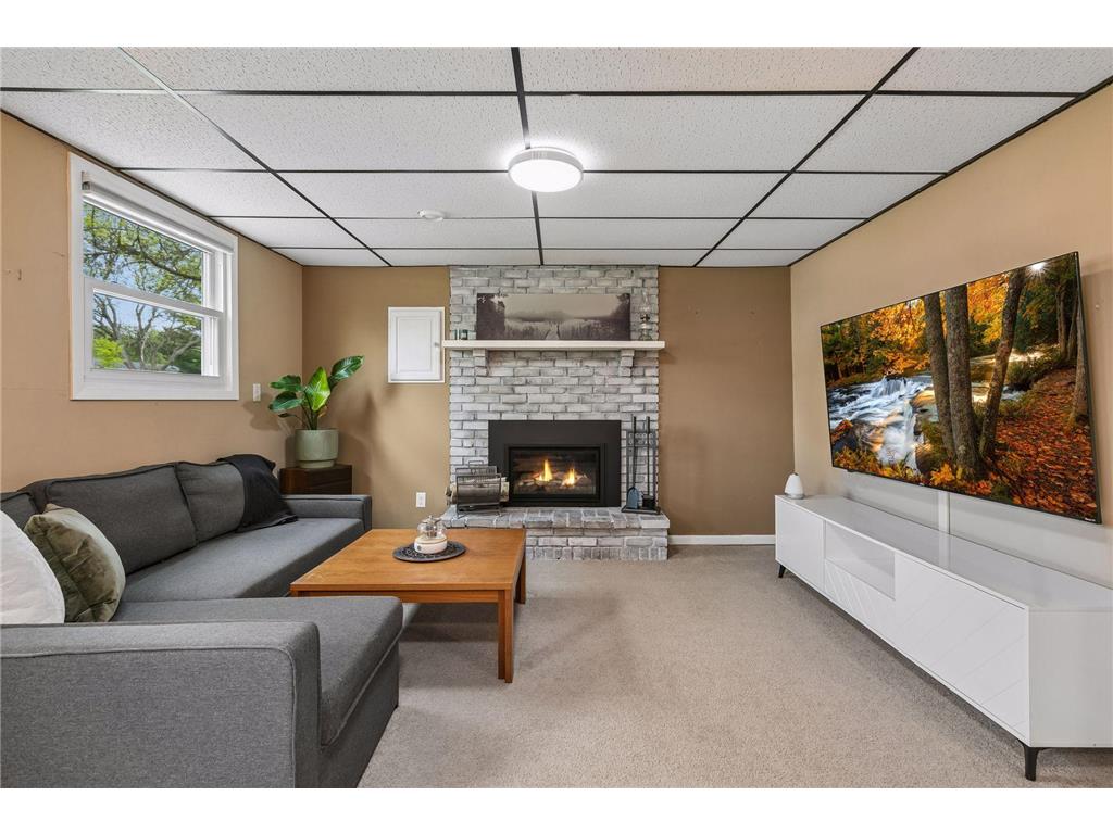 8700 Ironwood Avenue S Cottage Grove MN 55016 7070067 image25