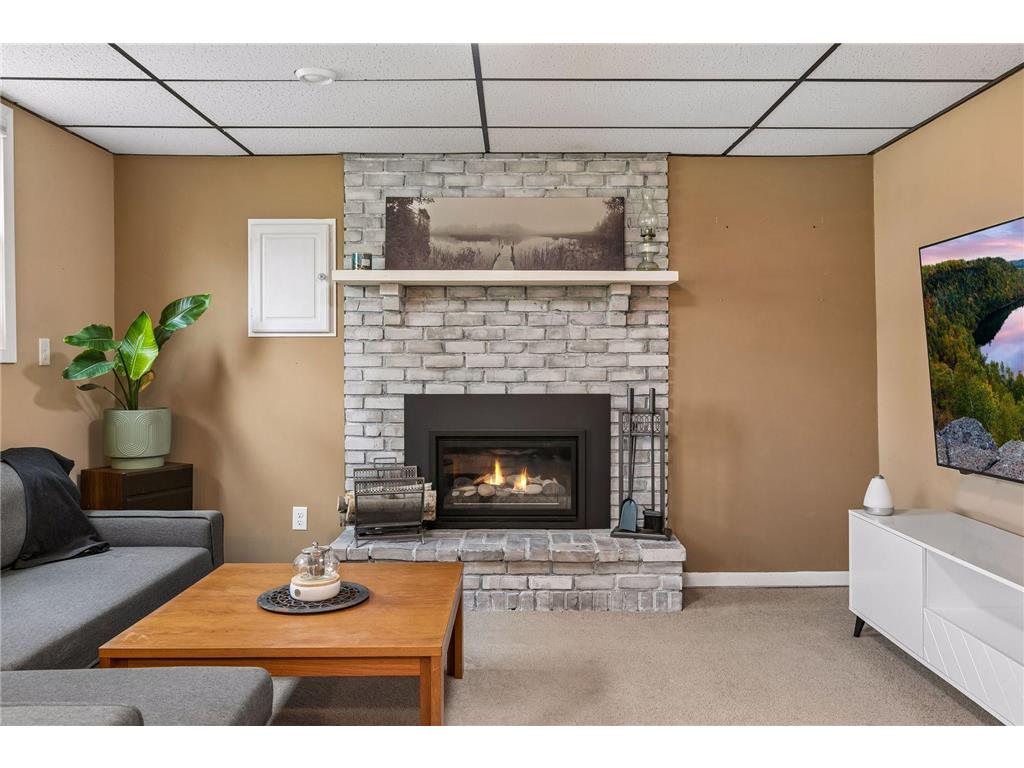 8700 Ironwood Avenue S Cottage Grove MN 55016 7070067 image26