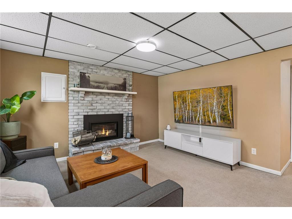 8700 Ironwood Avenue S Cottage Grove MN 55016 7070067 image27