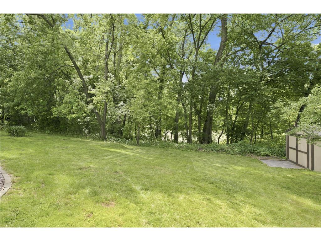 8716 Virginia Avenue S Bloomington MN 55438 7099838 image43