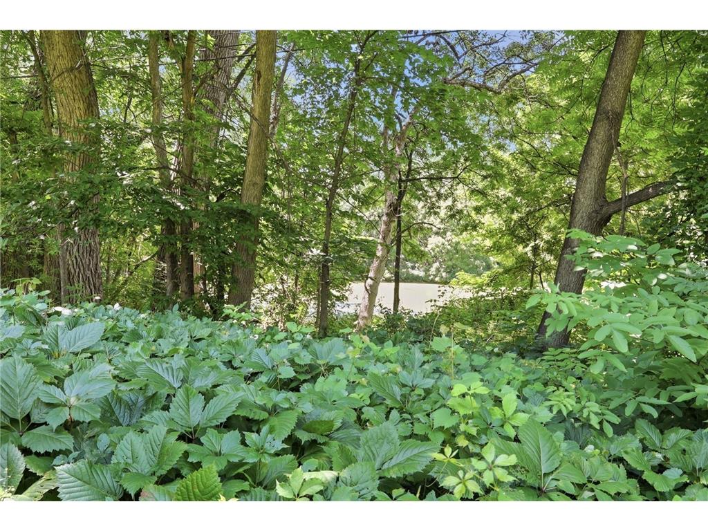 8716 Virginia Avenue S Bloomington MN 55438 7099838 image50