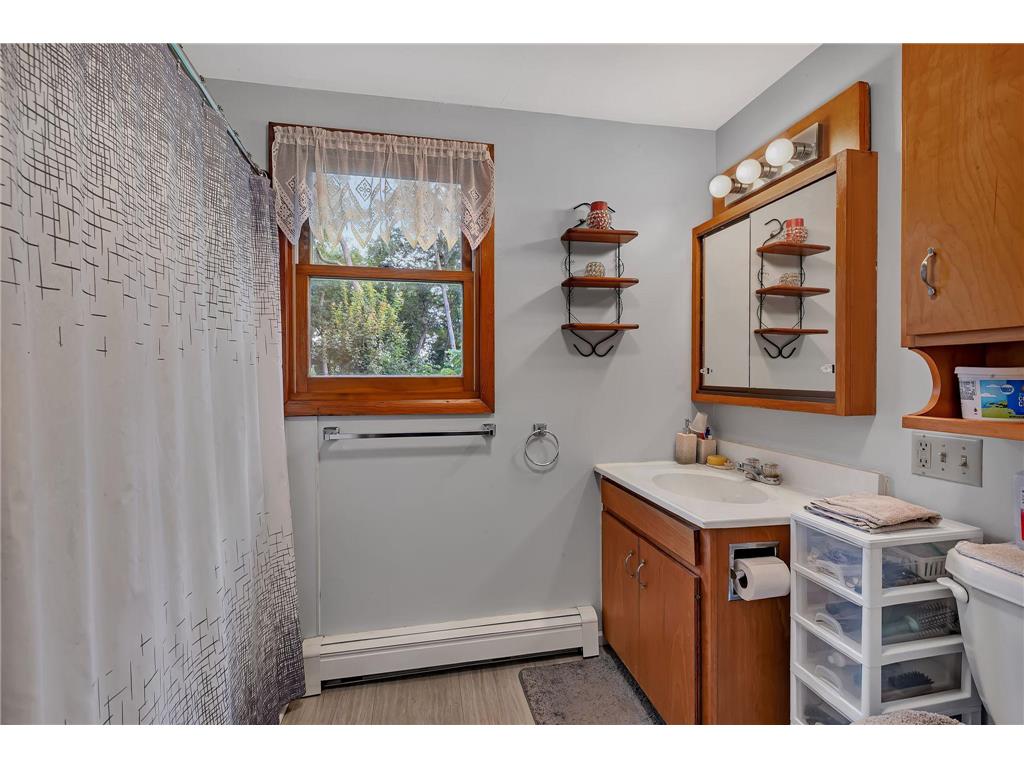 87192 510th Street Buffalo Lake MN 55314 6769565 image22