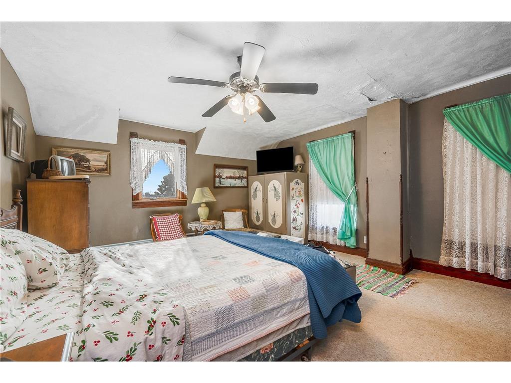 87225 600th Avenue Alpha MN 56111 7008862 image38