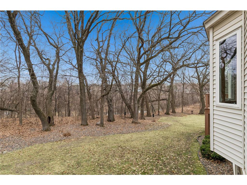 8724 Callahan Trail Inver Grove Heights MN 55076 7024039 image24