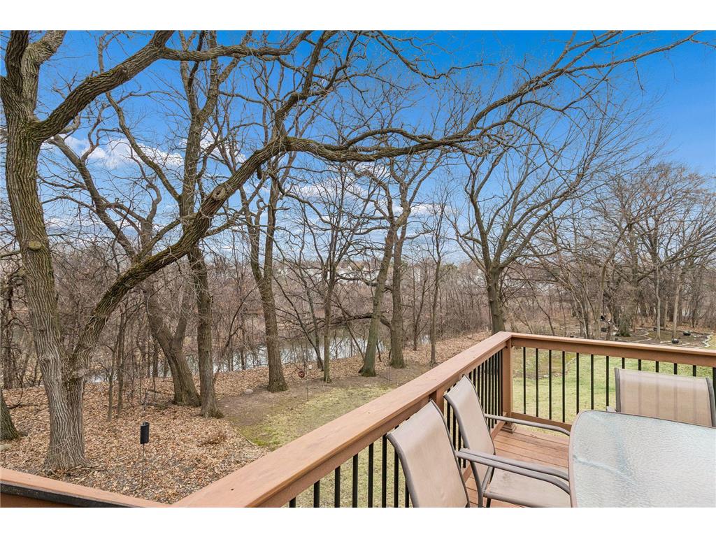 8724 Callahan Trail Inver Grove Heights MN 55076 7024039 image44