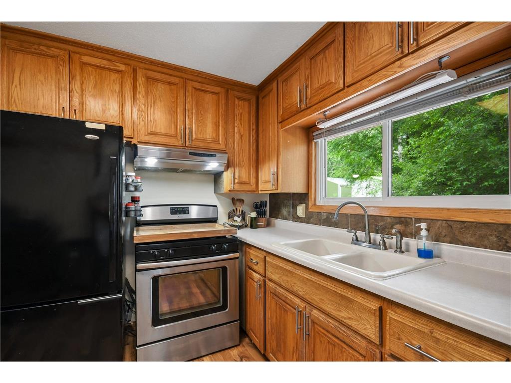 8726 240th Avenue NE Linwood Twp MN 55079 7063857 image18