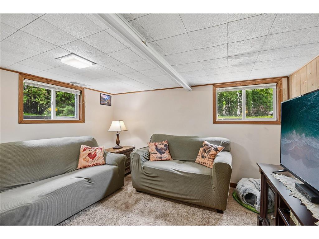 8726 240th Avenue NE Linwood Twp MN 55079 7063857 image26
