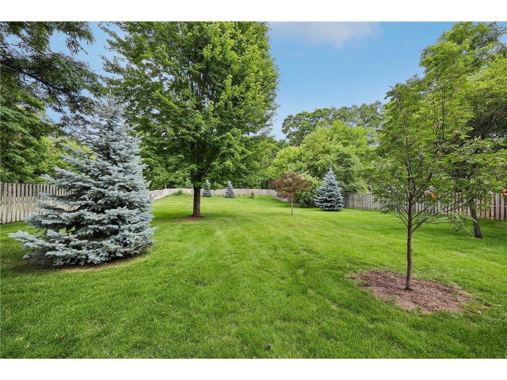 8727 Baltimore Street NE Blaine MN 55449 7089751 image32