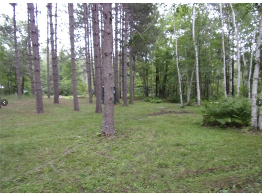 87362 Woodstock Road Windemere Twp MN 55783 - Sturgeon 7078700 image24