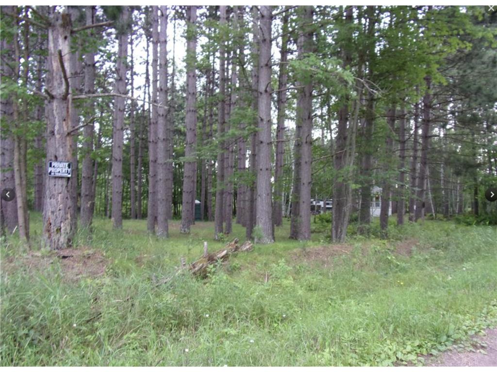 87362 Woodstock Road Windemere Twp MN 55783 - Sturgeon 7078700 image25