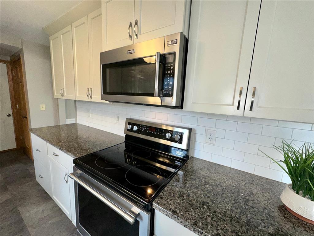 8745 Iden Avenue S Cottage Grove MN 55016 6359097 image1