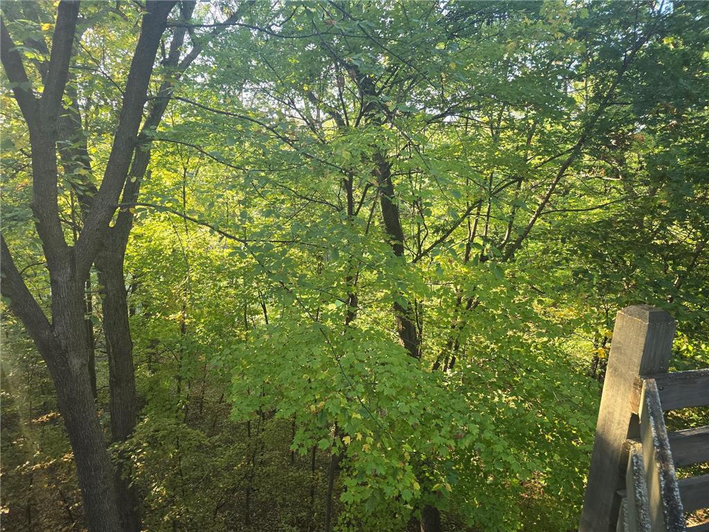 8748 Walton Oaks Drive Bloomington MN 55438 - Bush 6797858 image27