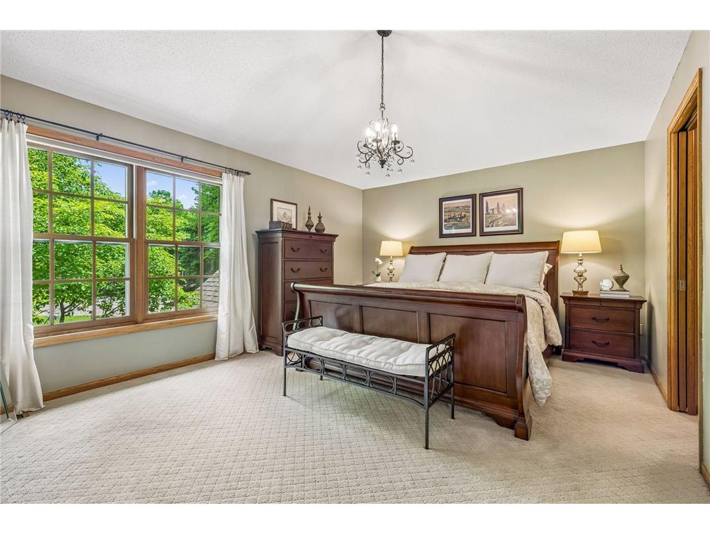875 Fernbrook Lane N Plymouth MN 55447 7077351 image31
