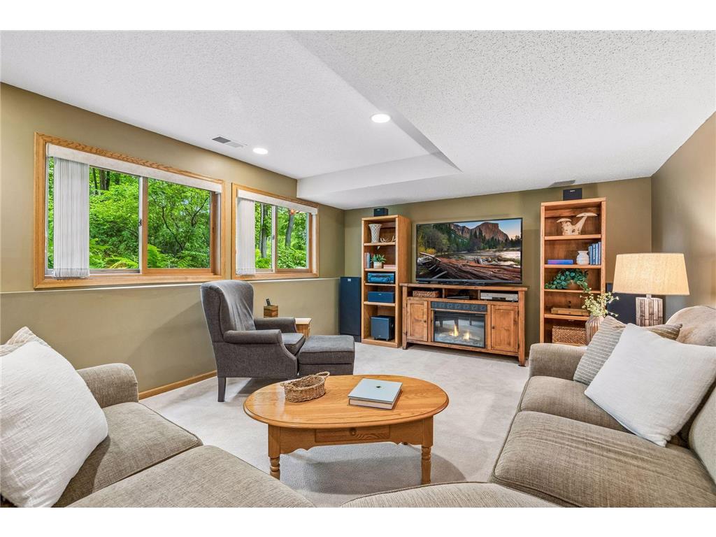 875 Fernbrook Lane N Plymouth MN 55447 7077351 image44