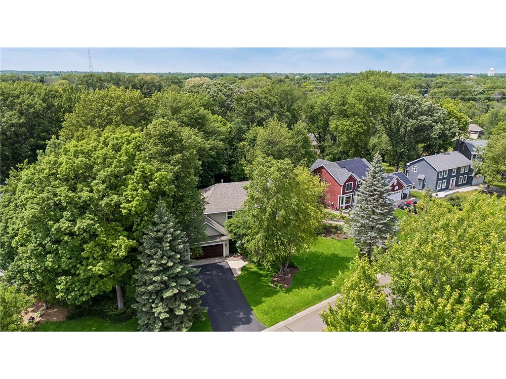 875 Fernbrook Lane N Plymouth MN 55447 7077351 image55