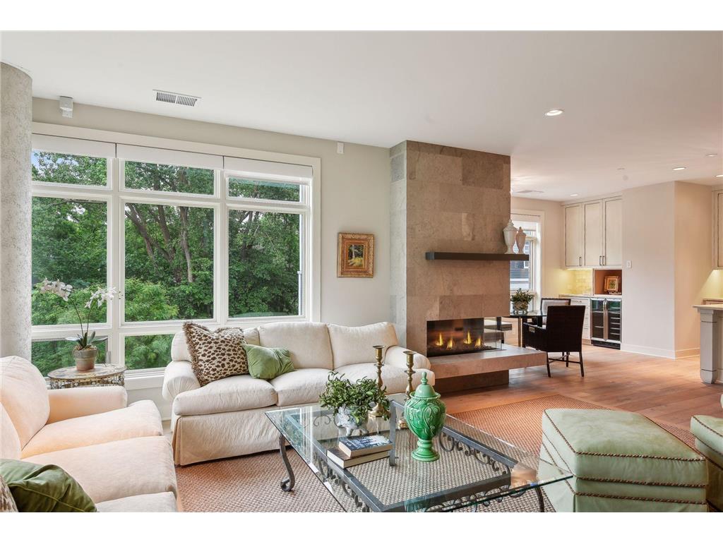 875 Lake Street N 213, Wayzata, MN, 55391 MLS 6527363 Edina Realty