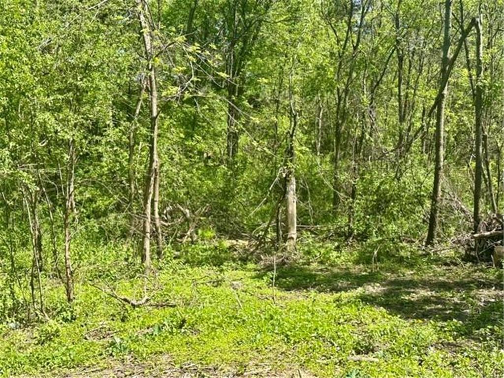 8751 212th Street Court N Forest Lake MN 55025 7075312 image17