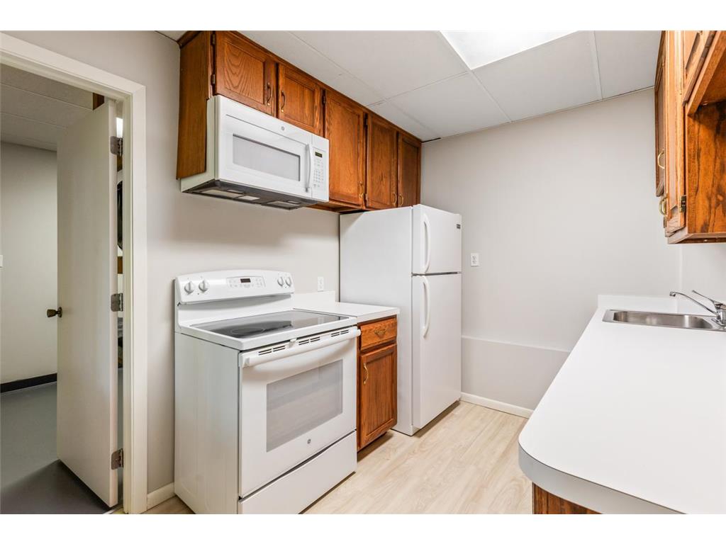 8753 Walton Oaks Drive Bloomington MN 55438 - North Arm Bush 7099648 image35