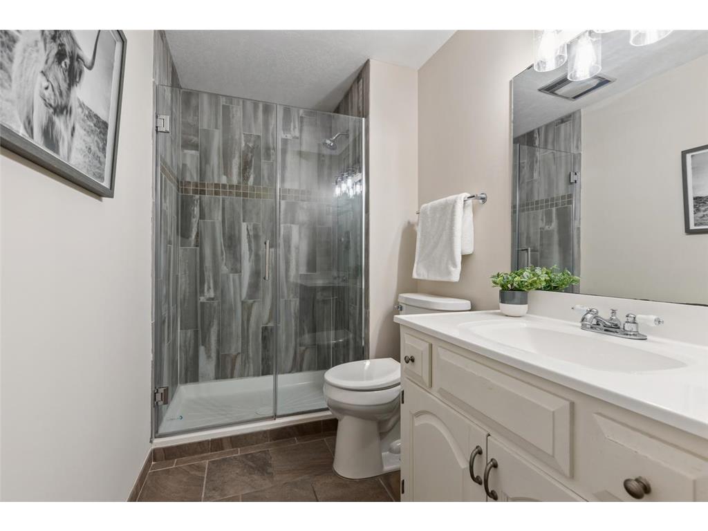 8753 Walton Oaks Drive Bloomington MN 55438 - North Arm Bush 7099648 image38