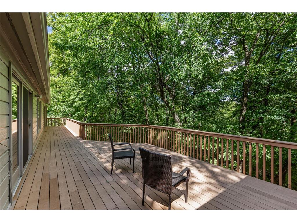 8753 Walton Oaks Drive Bloomington MN 55438 - North Arm Bush 7099648 image43