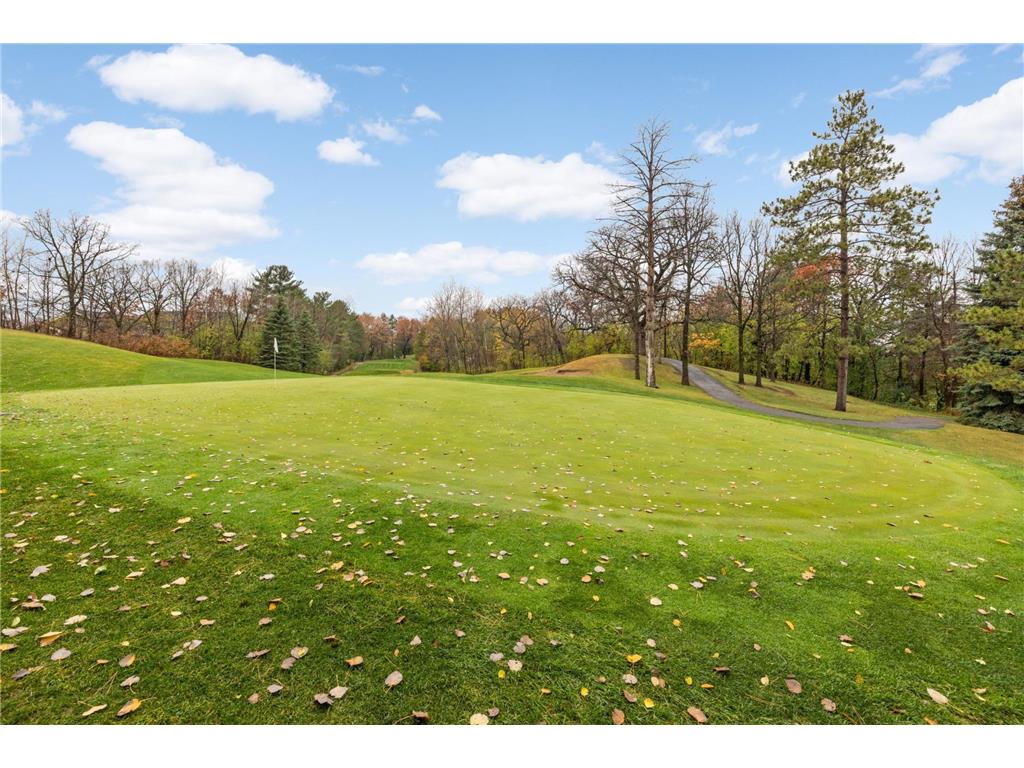 8755 Benson Way Inver Grove Heights MN 55076 6817213 image33