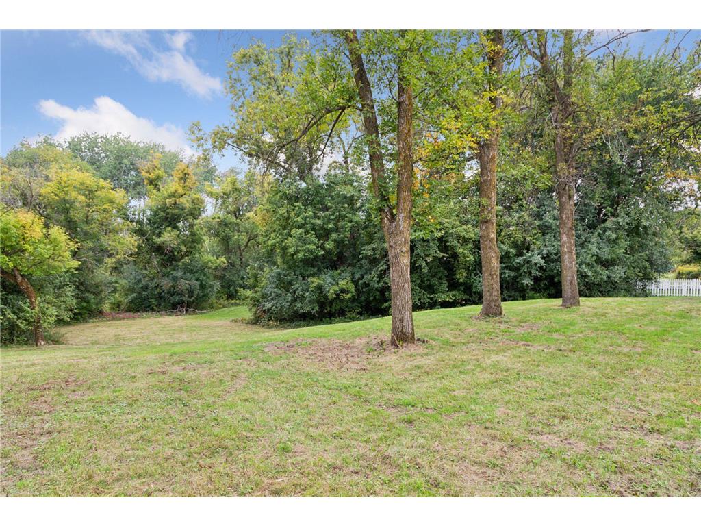 8757 75th Street N Grant MN 55082 6787898 image27