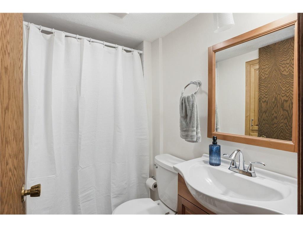 876 Curry Trail Eagan MN 55123 7085005 image14