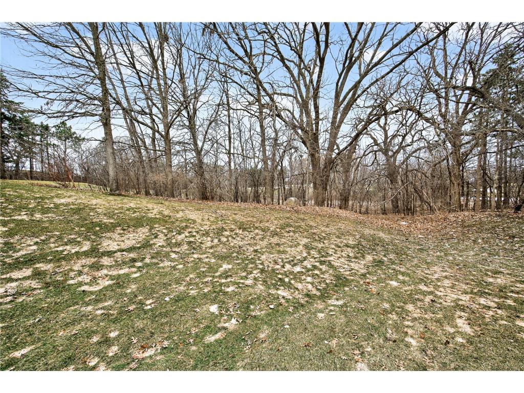 8763 Bechtel Avenue #152 Inver Grove Heights MN 55076 7040973 image26