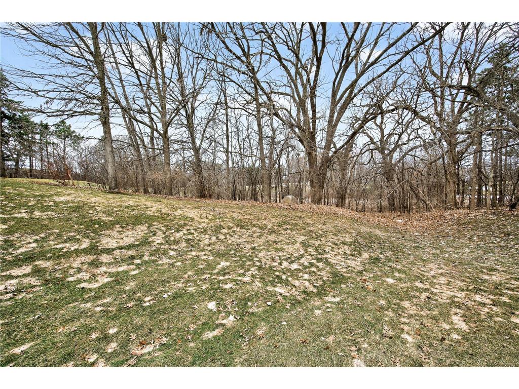 8763 Bechtel Avenue #152 Inver Grove Heights MN 55076 7086480 image26