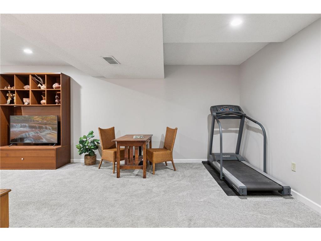 8769 Jewel Avenue S Cottage Grove MN 55016 6823540 image36