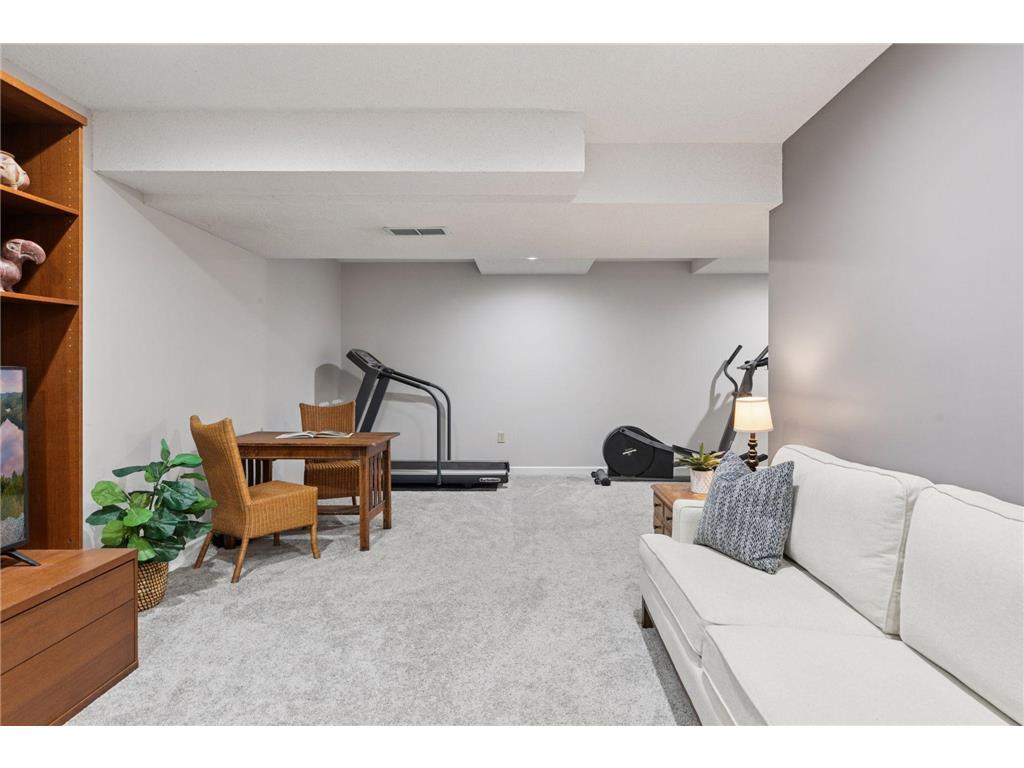 8769 Jewel Avenue S Cottage Grove MN 55016 7057127 image34