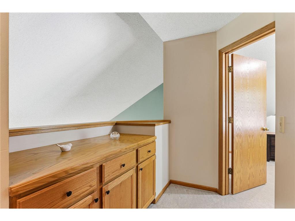8777 Cottonwood Lane Eden Prairie MN 55347 7072995 image23