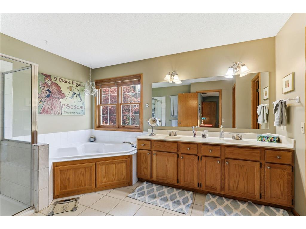8777 Cottonwood Lane Eden Prairie MN 55347 7072995 image29