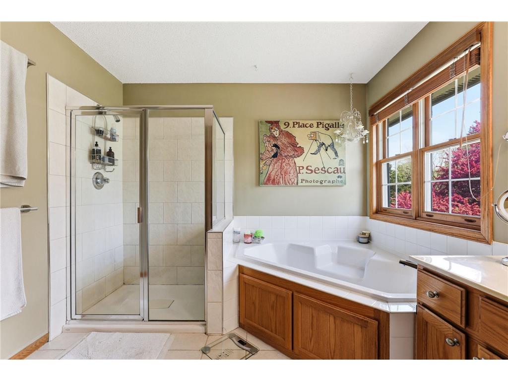 8777 Cottonwood Lane Eden Prairie MN 55347 7072995 image30