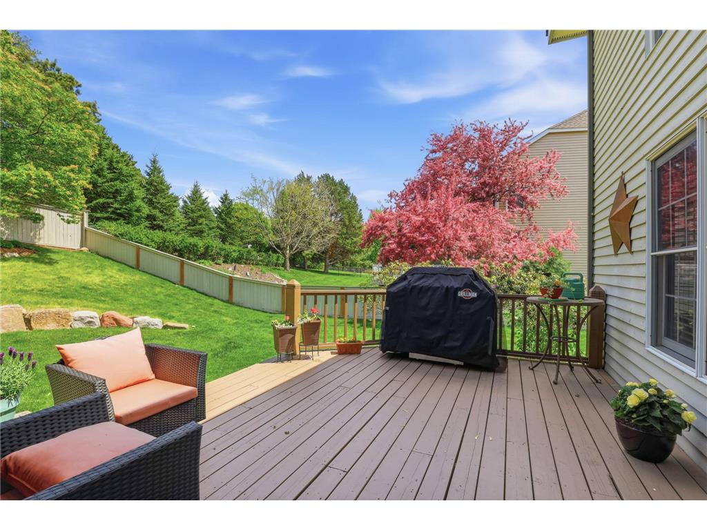 8777 Cottonwood Lane Eden Prairie MN 55347 7072995 image46