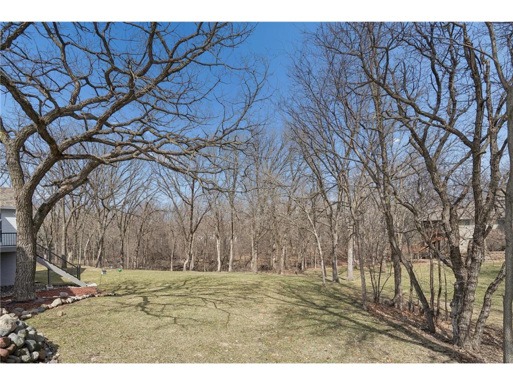 8781 Royal Court NW Ramsey MN 55303 7052015 image71