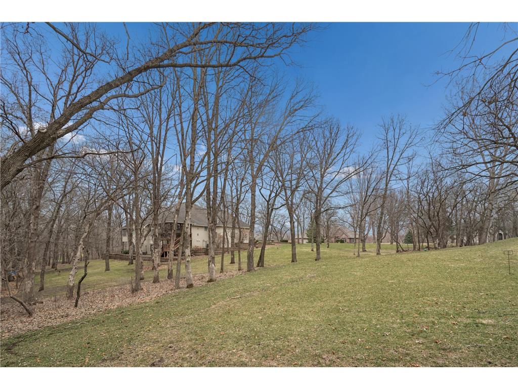 8781 Royal Court NW Ramsey MN 55303 7052015 image72