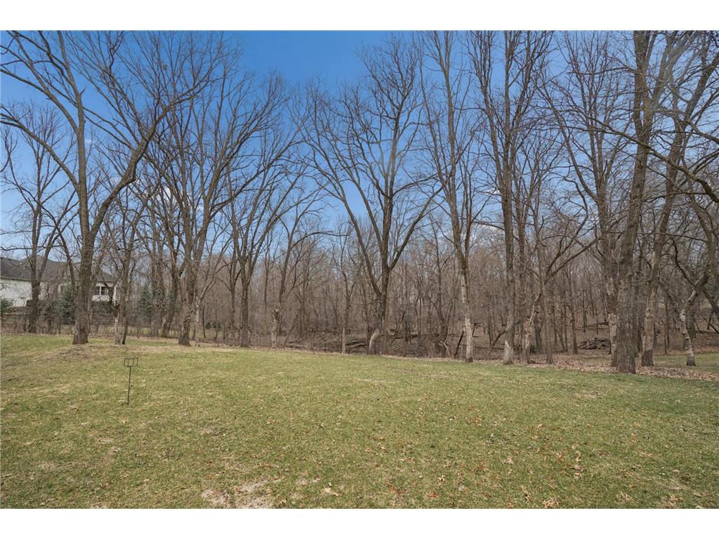 8781 Royal Court NW Ramsey MN 55303 7052015 image73