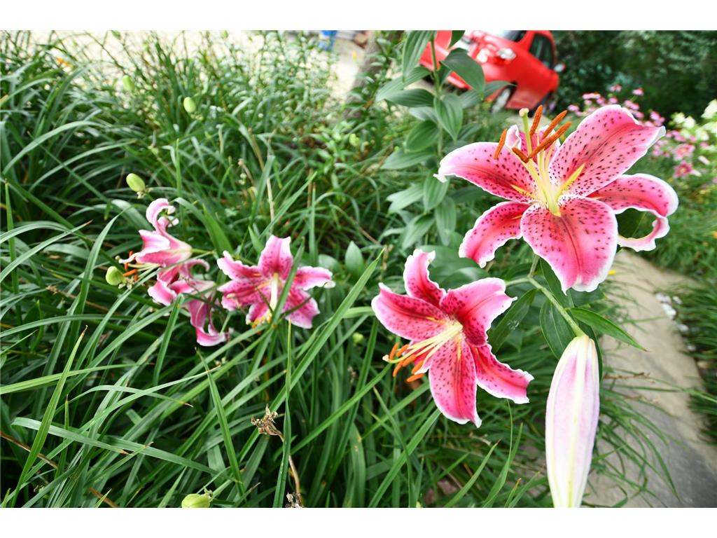 87854 State Highway 251 Newry Twp MN 55912 6794003 image55