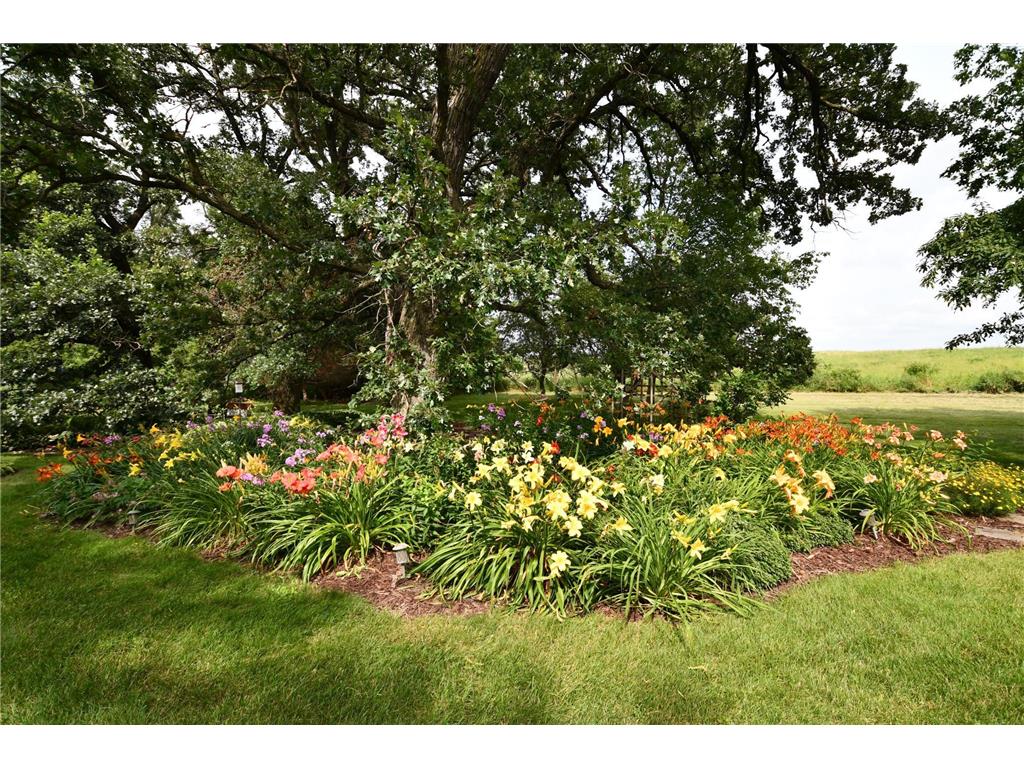 87854 State Highway 251 Newry Twp MN 55912 6794003 image76