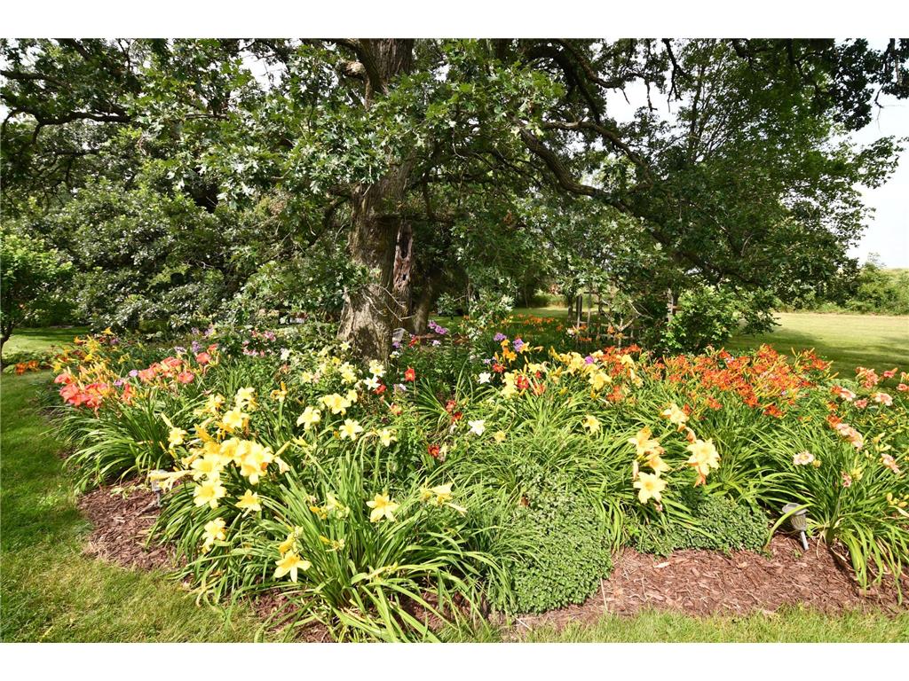 87854 State Highway 251 Newry Twp MN 55912 6794003 image77