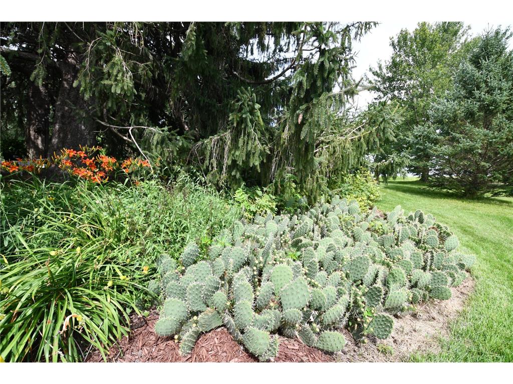 87854 State Highway 251 Newry Twp MN 55912 7091827 image72