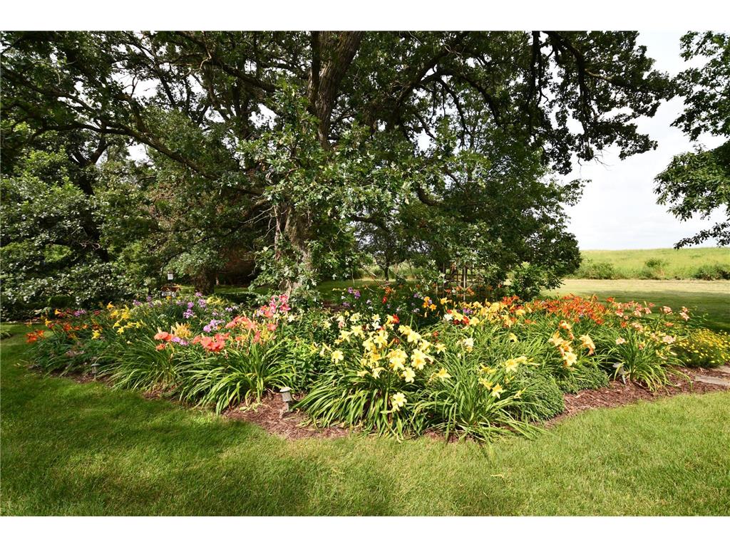 87854 State Highway 251 Newry Twp MN 55912 7091827 image74