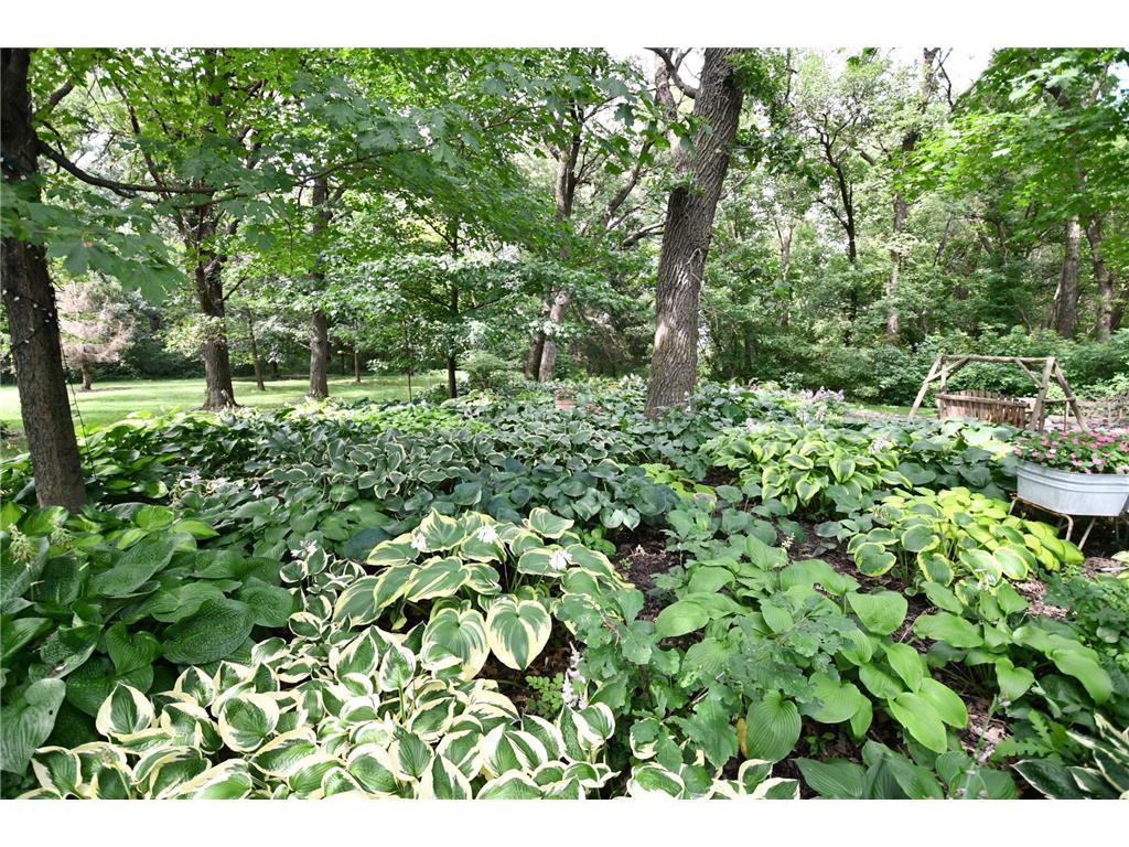 87854 State Highway 251 Newry Twp MN 55912 7091827 image83