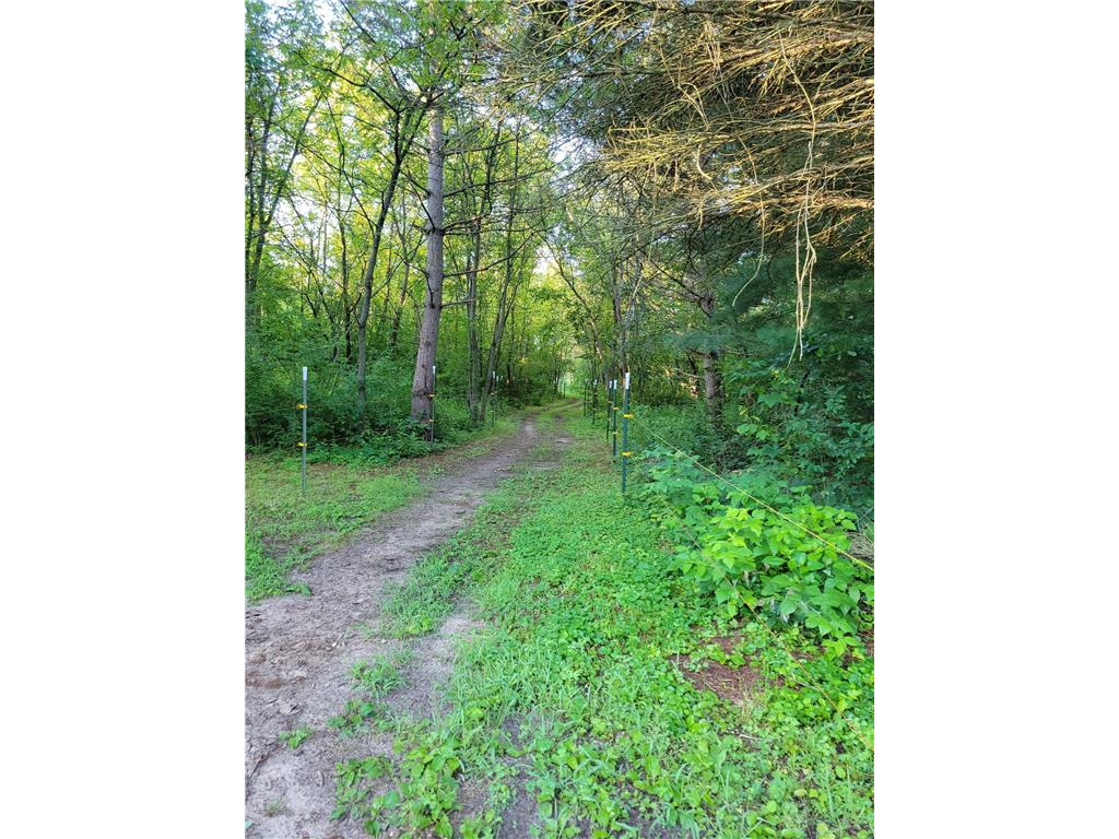 8788 288th Lane NE North Branch Twp MN 55056 7056409 image51