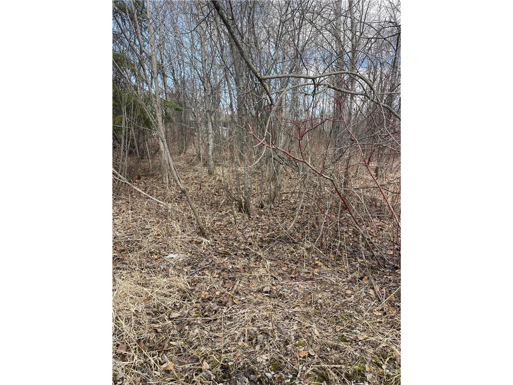 87XX Arbor Lane Mountain Iron MN 55768 7078313 image7