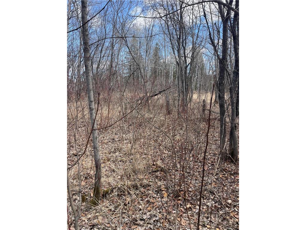 87XX Arbor Lane Mountain Iron MN 55768 7078313 image9