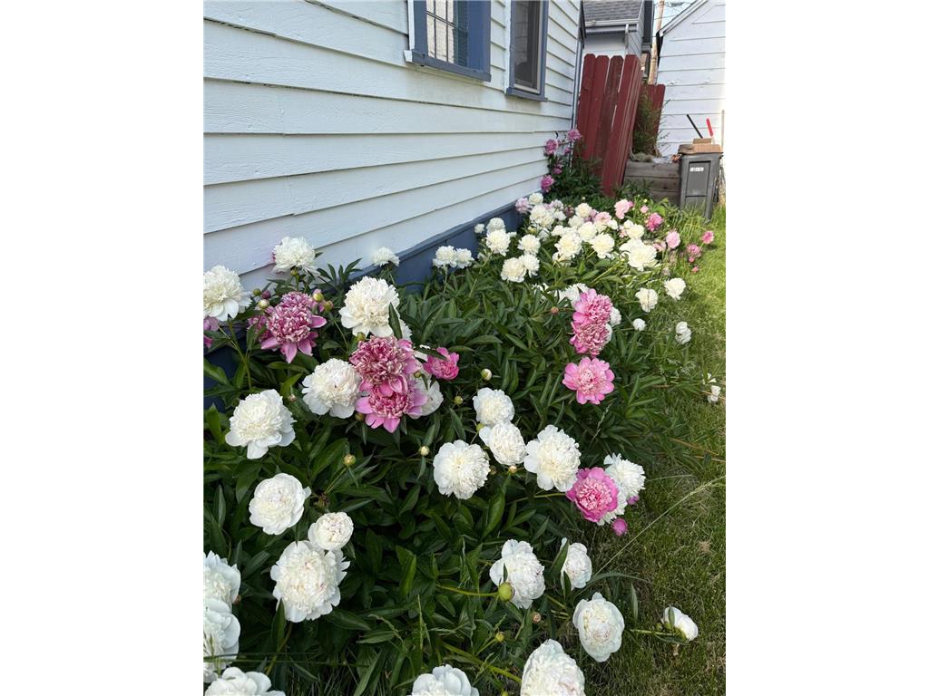 88 Leech Street Saint Paul MN 55102 7099148 image38