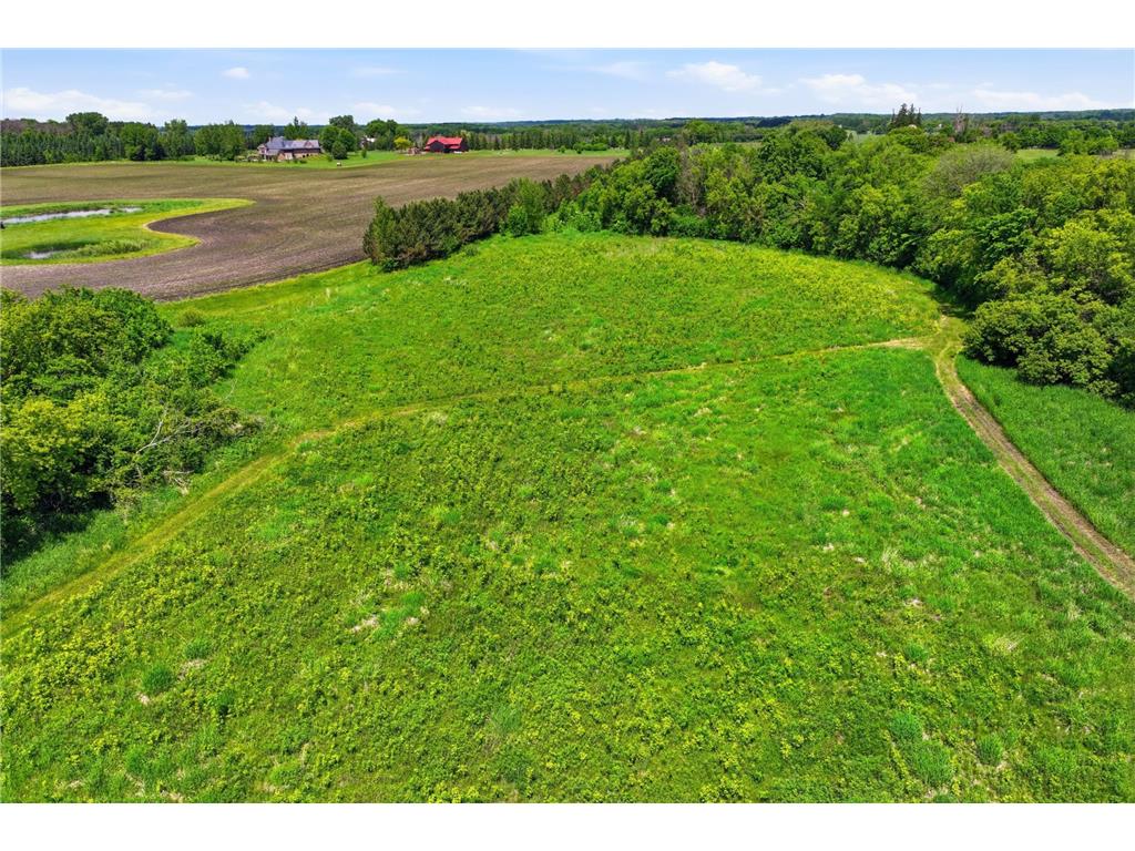 880 Wild Oak Trail Independence MN 55359 7093202 image86